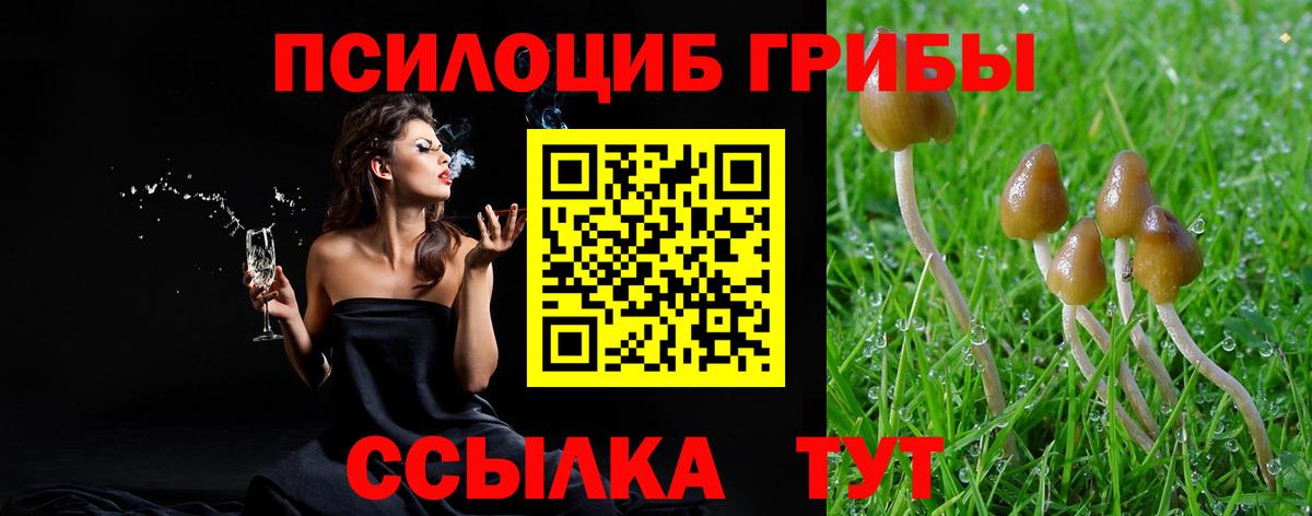 Качканар  наркотики  Вход с VPN  Галлюциногенные грибы GOLDEN TEACHER 